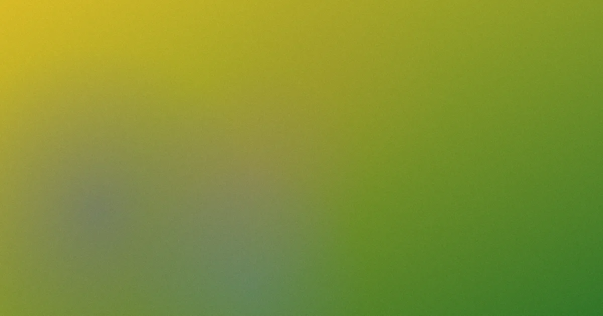 中文免费观看避坑原理